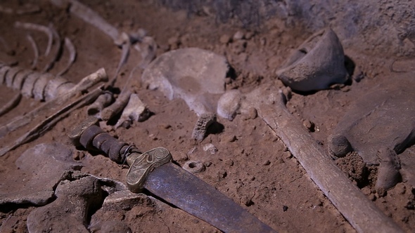 Human Skeleton, Skull, Bones, Excavated a Burial