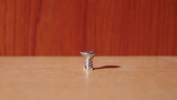 A screw is screwed into the wood in stop motion