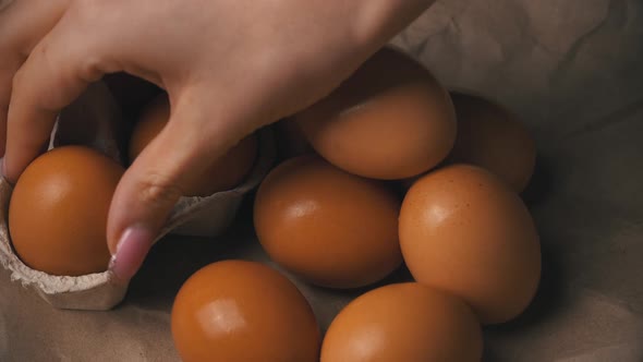 Woman's Hand Takes a Chicken Egg From a Container