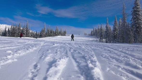 Skiers And Snowboarders Are Riding On Downhill