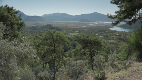 Dalyan Valley In Summer, Rolling Green Hills 