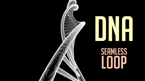 Isolated Rotating DNA 