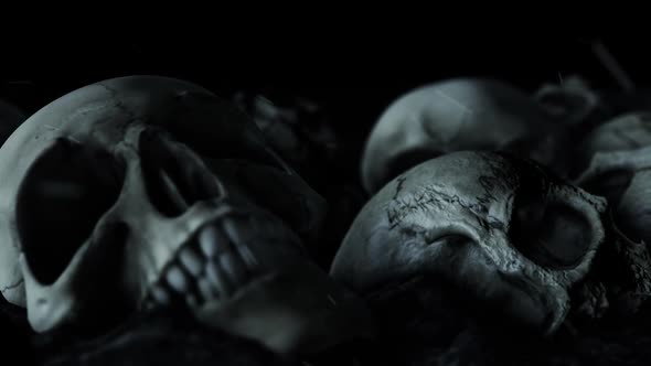 Scary Looking Human Skulls In The Dark With Ashes