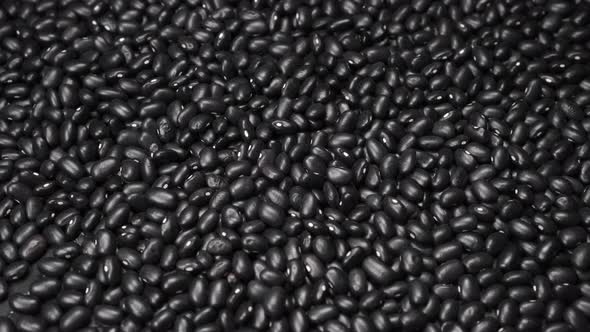 Black beans close up rotation