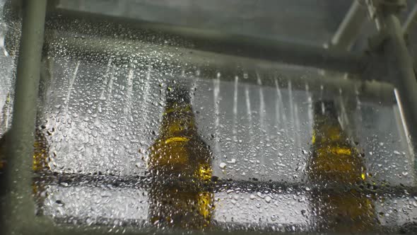 Brown glass bottles pass through the rinsing unit. Bottom view