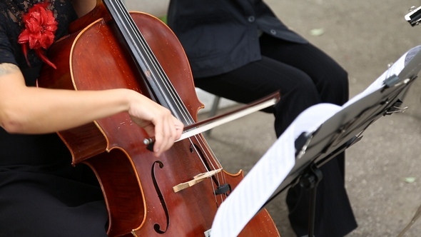 The Girl Musician Playing the Cello