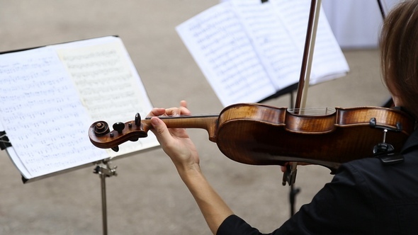 The Woman Musician Playing the Violin