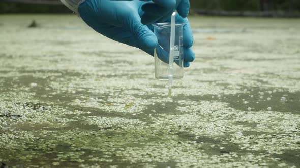 Process of Taking Water Analysis From Swamp Using Flask and Pipette Wearing Protective Suit and