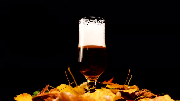 Glass of Gold Light Beer With Fall Leaves Decoration Spinning Black Background
