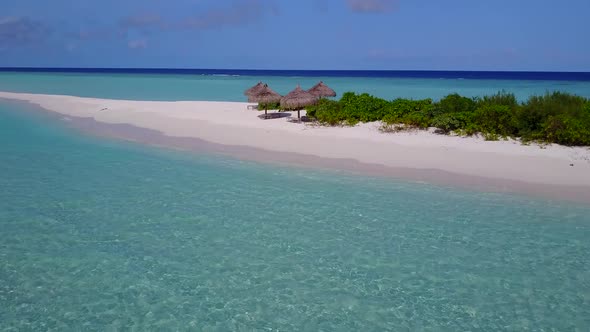 Aerial drone nature of resort beach wildlife by blue ocean and sand background