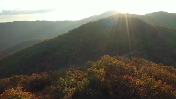 Flight Over A Wooded Area In The Autumn Season 