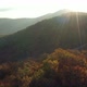 Flight Over A Wooded Area In The Autumn Season  - VideoHive Item for Sale