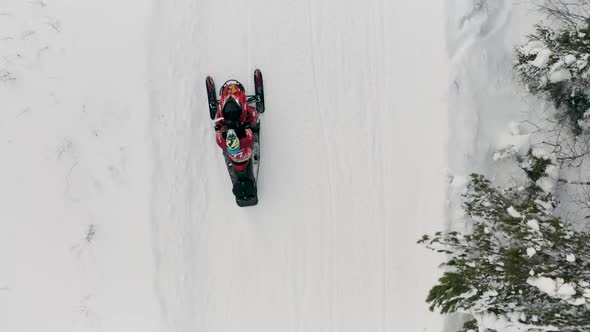 Aerial top view of red snowmobile in snow covered winter forest in rural Finland, Lapland