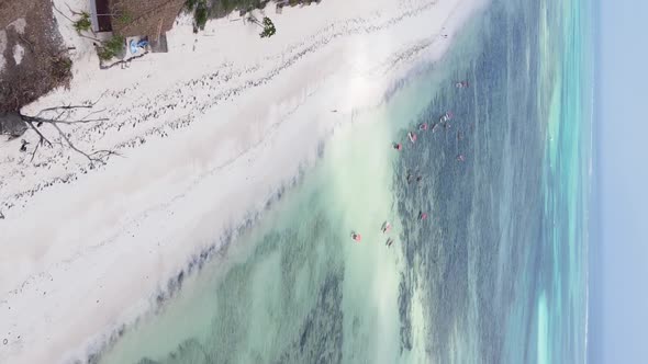 Vertical Video of the Ocean Near the Coast of Zanzibar Tanzania Aerial View