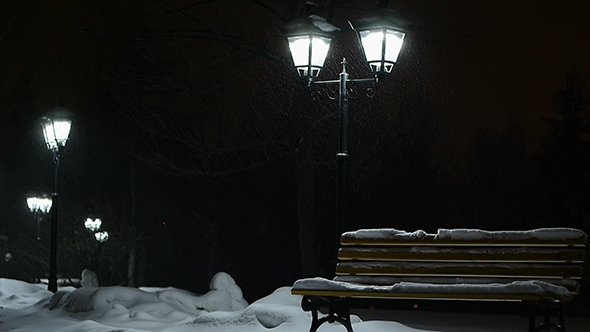 Snow Falls In Park 1