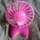 Small Fan