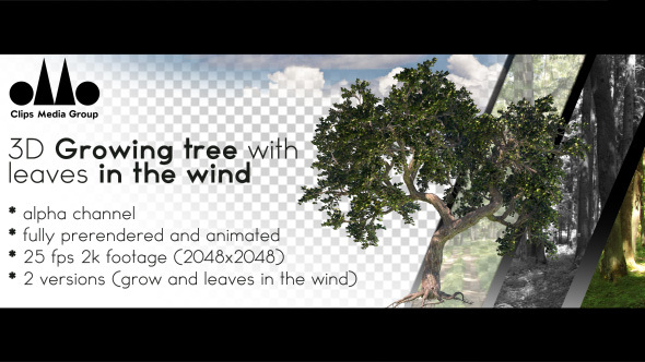 Photorealistic 3D Growing Tree With Leaves In The Wind alt