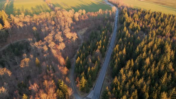 Revealing drone footage of a car driving along a scenic forest road. Wide angle aerial upwards tilt