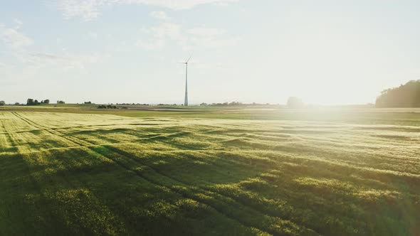 The Light of the Rising Sun Illuminates the Meadow on Which is Wind Generator