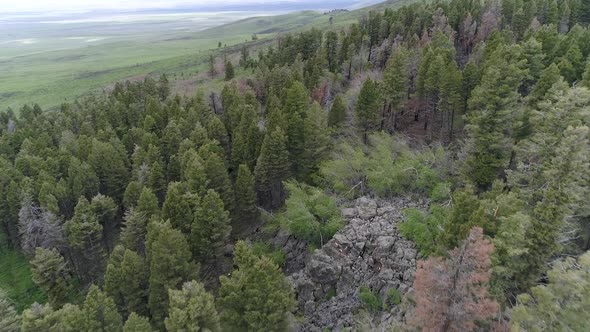 Aerial view flying over burn scar from wildfire in Idaho