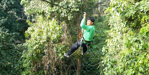Young Man On Zip Line