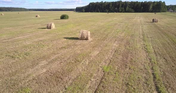 Upper View Packaged Hay Bales on Field Against Trees
