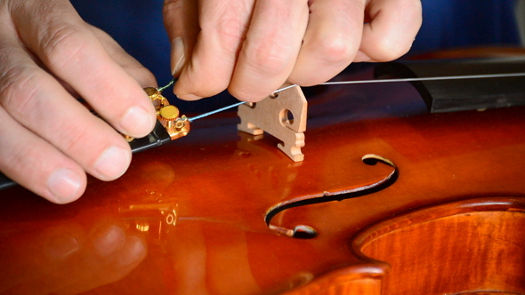Luthier Working with a Violin
