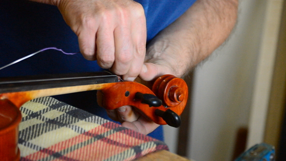 Luthier Placing the String to a Violin or Viola