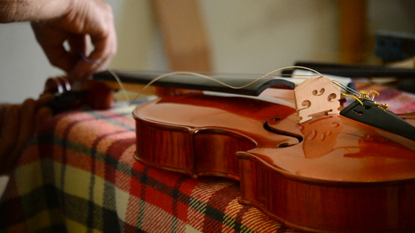 Luthier Placing the Strings to a Violin