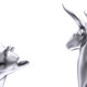 Cartoon Bull & Bear - VideoHive Item for Sale