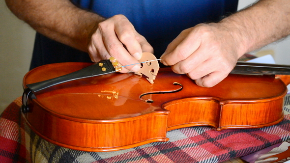 Luthier Working in Workplace