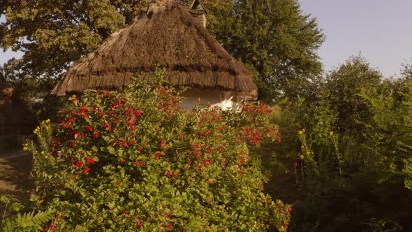 Garden Yard of Village Traditional Hut House