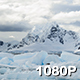 Icebergs Wash Away in Antarctica - VideoHive Item for Sale