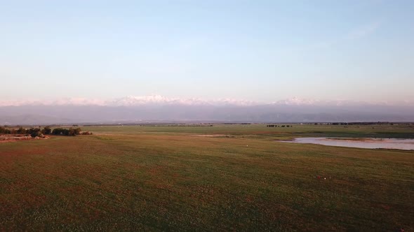 Poppy Fields with Views of the Snowy Mountains