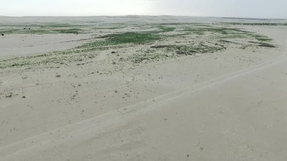 Flight Over the Dunes  Desert  And  Farming