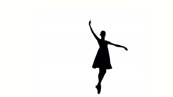 Ballerina Girl Dancer Is Wearing a Dress. Silhouette