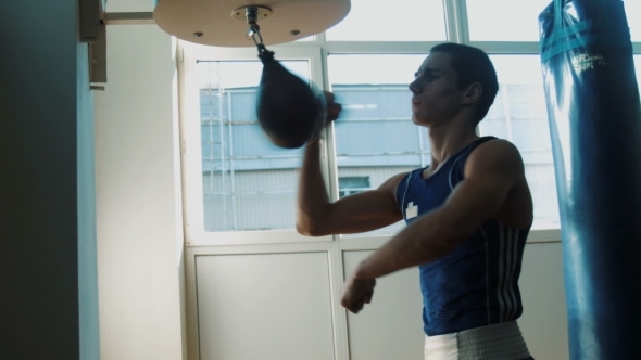 Young Sportsmen Boxing Speed Punching Bag