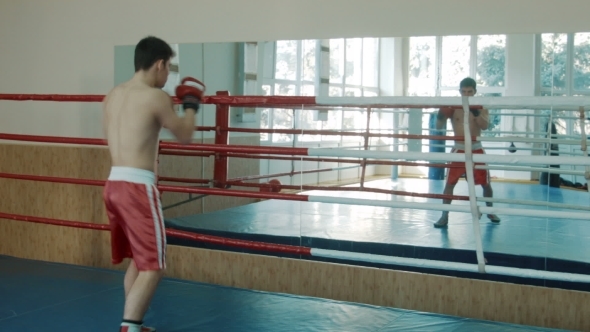 The Young Boxer Trains On a Ring 