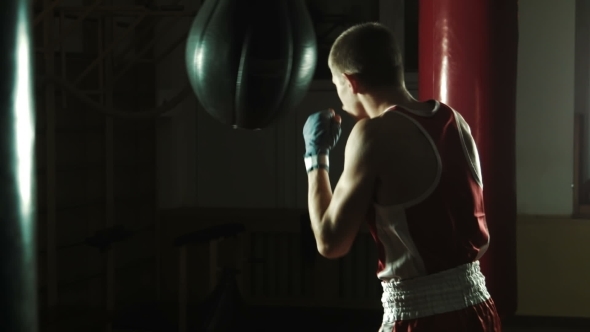 Young Boxer Hitting Punching Bag In Gym