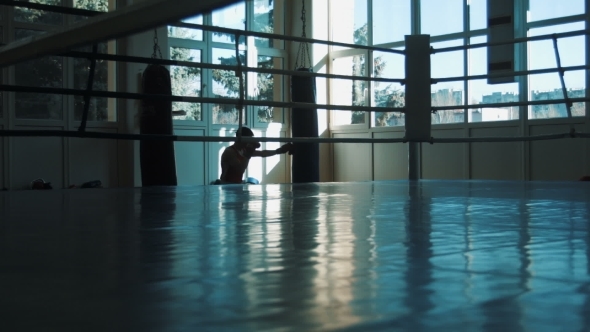 Silhouette Of Young Boxer Training With Punching Bag alt