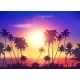 Ocean Sunset Sky with Dark Palm Silhouettes - GraphicRiver Item for Sale