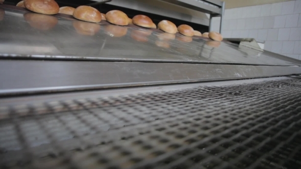 The Bread On The Conveyor Oven. Bread Bakery