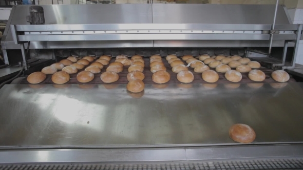 The Bread On The Conveyor Oven. Bread Bakery 