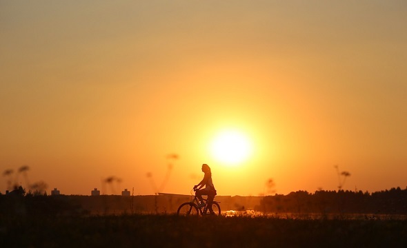 Sunset Silhouette