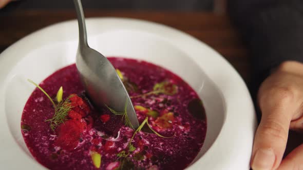 Traditional Ukrainian Russian Borscht Soup with White Beans on the Bowl