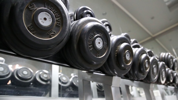 Sports Dumbbells Laid Out in a Row