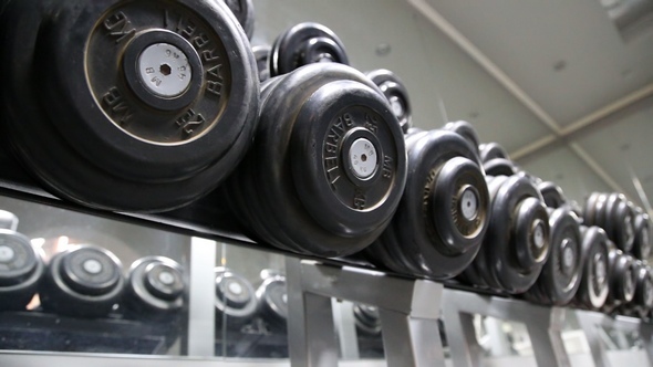 Sports Dumbbells Laid Out in a Row alt