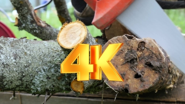 Using Electric Saw To Cut The Wood alt