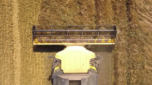 Aerial view of combine harvester harvesting large ripe wheat field.