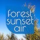 Forest Sunset Air - AudioJungle Item for Sale